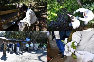 柿田川環境美化及び外来種駆除活動実施